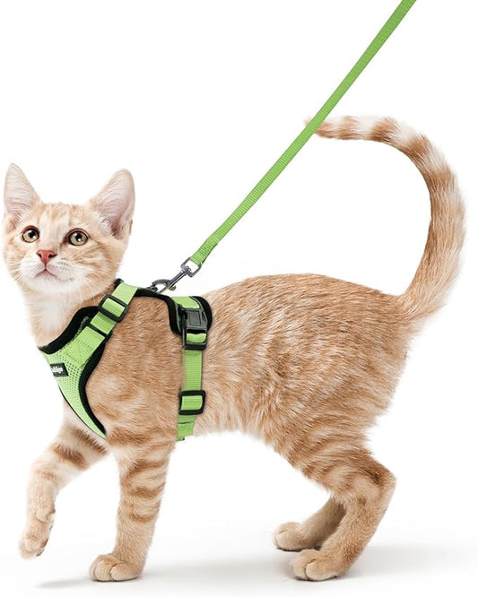 rabbitgoo Cat Harness and Leash Set, Escape Proof Kitten Harness by rabbitgoo