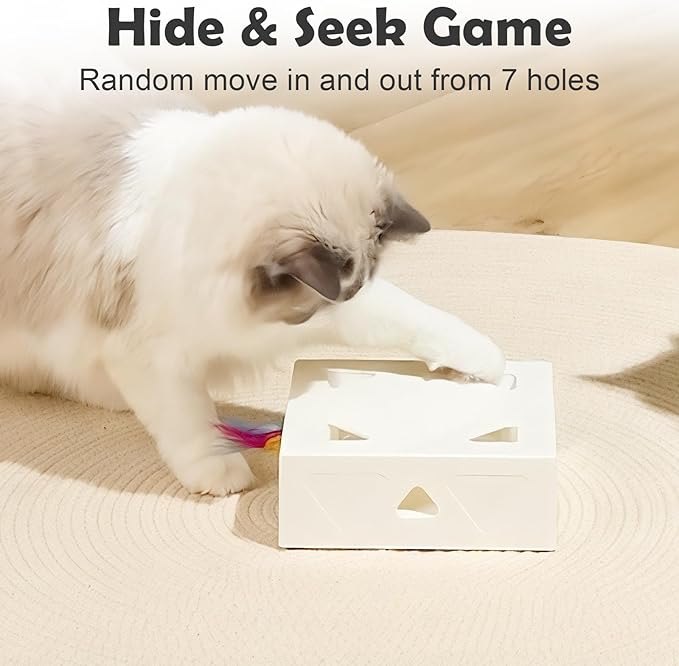 Interactive Cat Toys -Migibox for Indoor Bored Cats, Automatic Pop Out Feathers - Image 3