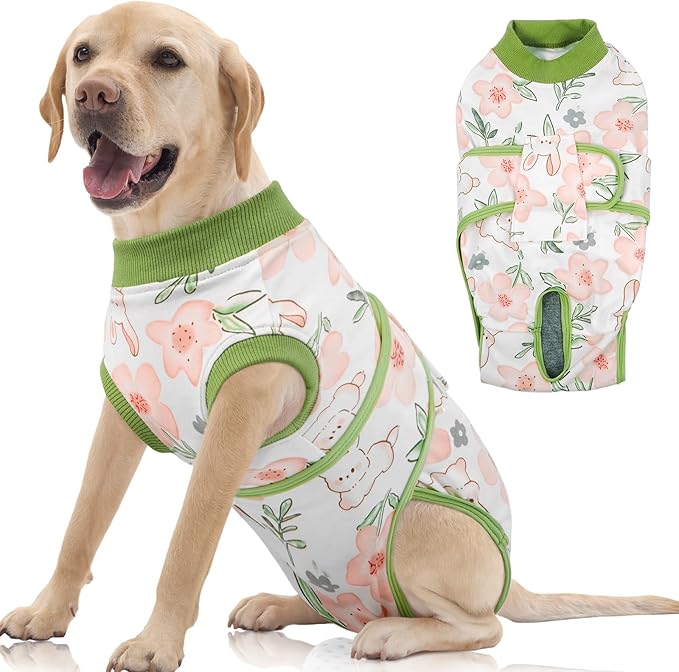 FUAMEY Dog Recovery Suit Male, Dogs Surgery Neuter Suits Puppy Spay Shirts by FUAMEY