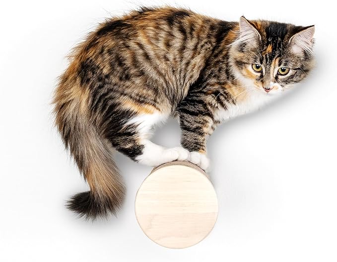 Wall-Mounted Cat Perch & Scratching Post by FurHaven