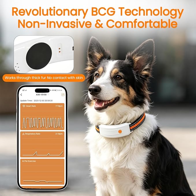 Wireless Dog Fence System, 4G LTE GPS Dog Collar - Image 3