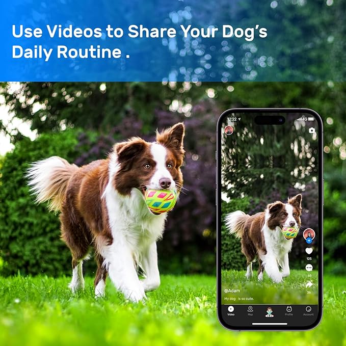 DBDD Dog GPS Tracker, Smart Waterproof Tracker - Image 4