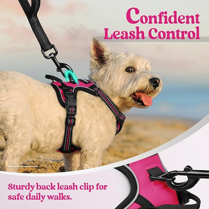 rabbitgoo Dog Harness No Pull - Image 6