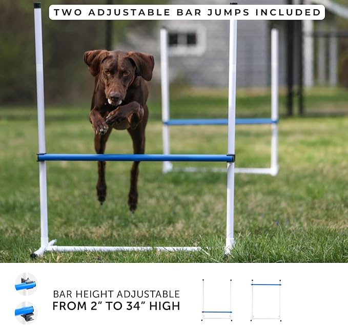 Better Sporting Dogs Agility Course Backyard Set - Image 3