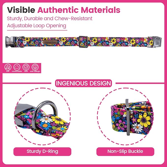 Lionheart Glory Dog Collar - Image 2