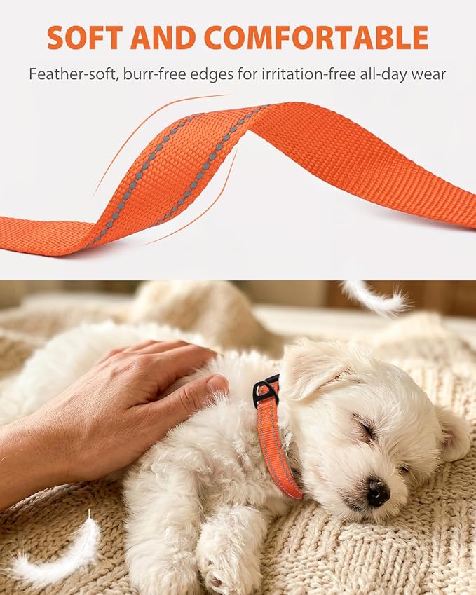 Joytale Small Dog Collar, Durable Double-Sided Reflective Nylon Collar - Image 3