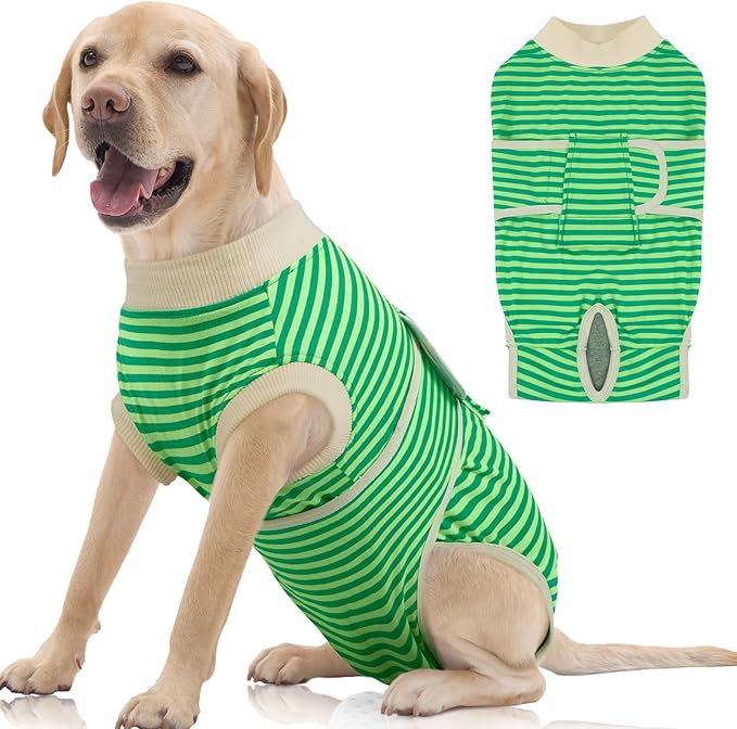 FUAMEY Dog Recovery Suit Male, Dogs Surgery Neuter Suits Puppy Spay Shirts by FUAMEY