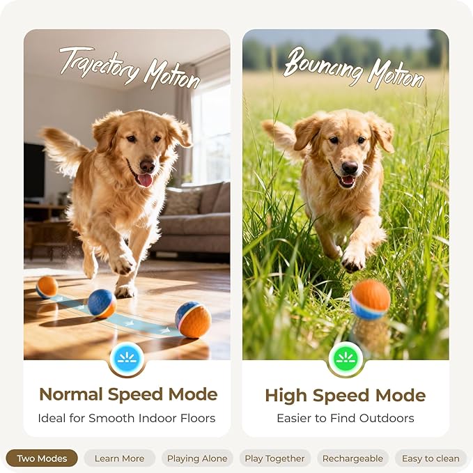 Interactive Dog Toys: Shaky Dog Ball - Image 2
