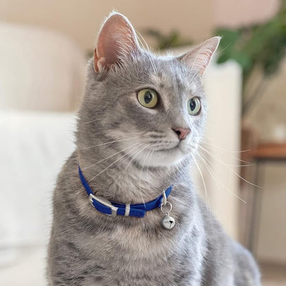 CollarDirect Leather Cat Collar - Image 6