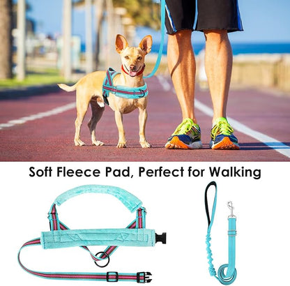 Lukovee No Pull Dog Harness and Leash Set, Soft Padded Small Dog Harness - Image 3