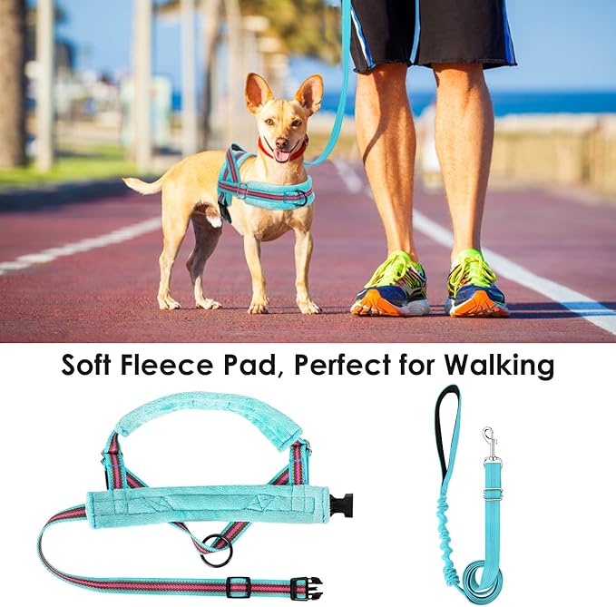 Lukovee No Pull Dog Harness and Leash Set, Soft Padded Small Dog Harness - Image 3