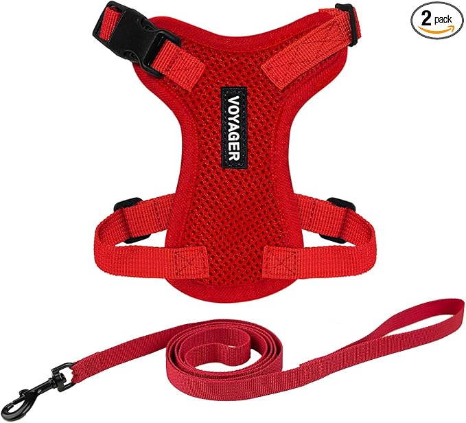 Voyager Escape-Proof Step-in Lock Cat Harness & 5ft Neoprene-Handle Leash Set by BestPetSuppliesLLC