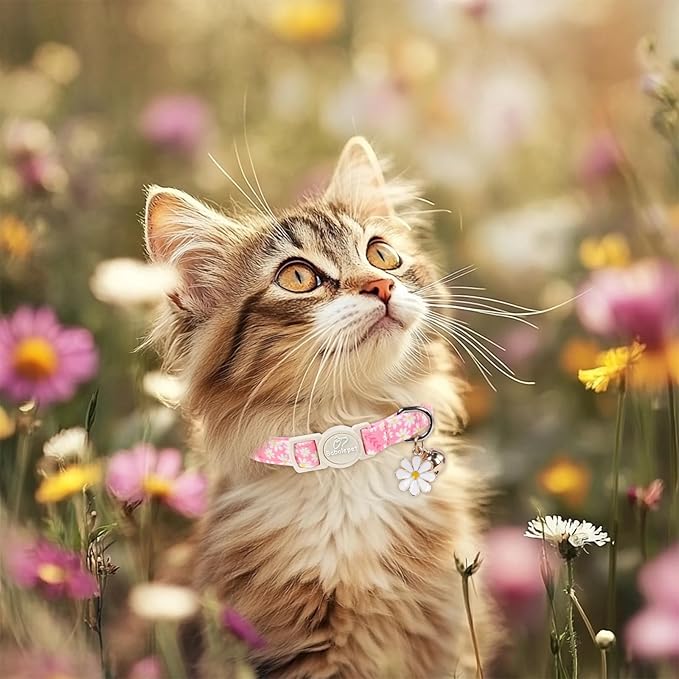 2 Pack Daisy Cat Collars - Image 5