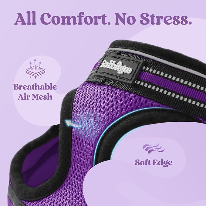 rabbitgoo Cat Harness and Leash, Step-in Escape Proof Kitten Harness Set - Image 7