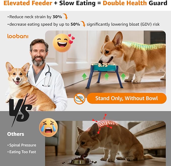 LOOBANI Raised Dog Bowl Stand: Adjustable Width Elevated Dog Bowl Stand Water - Image 4