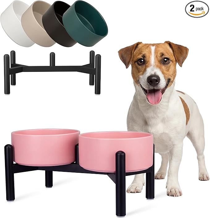 Raised Ceramic Dog Bowl Set by PTOBER