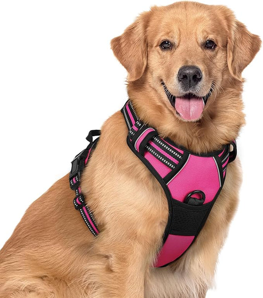 rabbitgoo Dog Harness No Pull by rabbitgoo