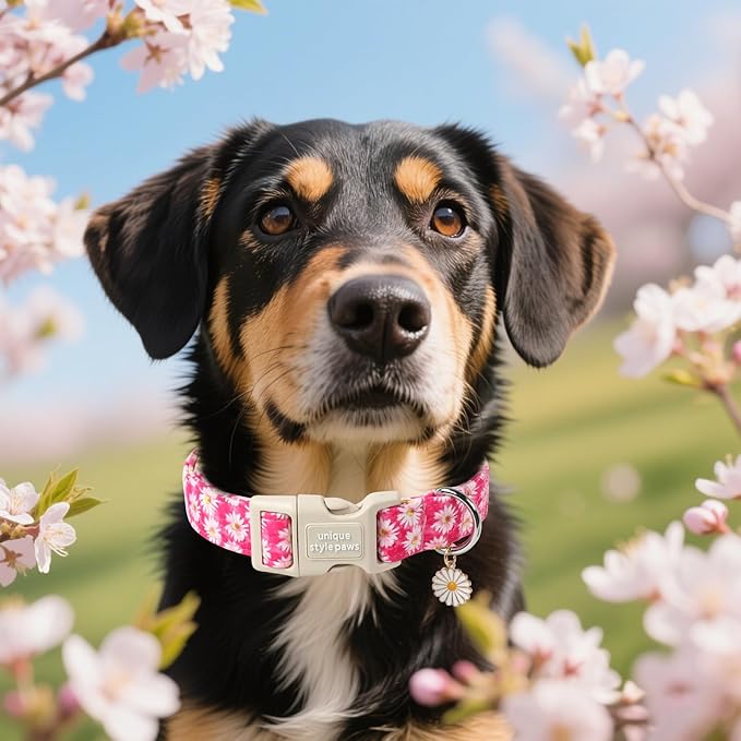 Unique style paws Dog Collar Plastic Buckle - Image 5