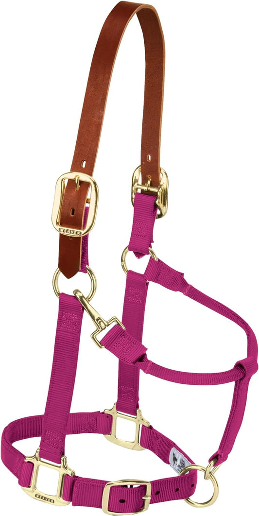 Weaver Equine Nylon Horse Halter, Triple-Ply Cheek Design, Original Non Adjustable Halters for Horses, Equine Tack,Average Size, Black