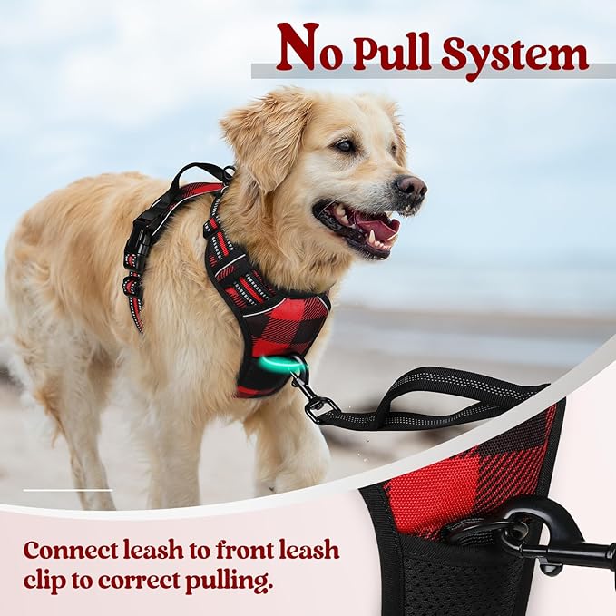 rabbitgoo Dog Harness No Pull - Image 5