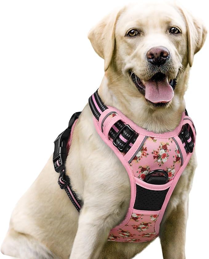 rabbitgoo Dog Harness No Pull by rabbitgoo