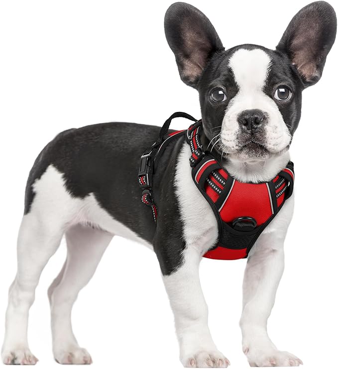 rabbitgoo Dog Harness No Pull by rabbitgoo
