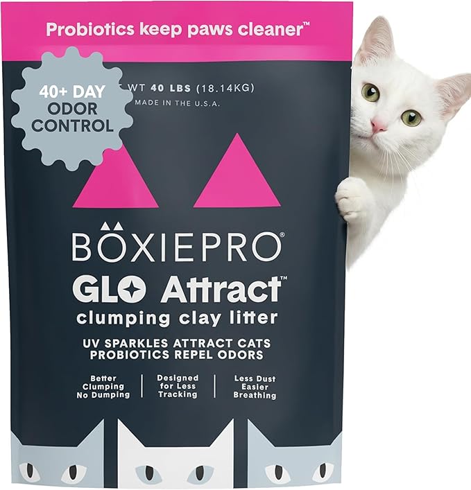 Boxie Glo Clumping Clay 30 Day Odor Control Cat Litter, 99.9% Dust-Free by Boxiecat