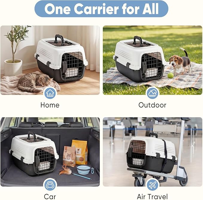 DUMOS 23" Hard-Sided Pet Carrier - Image 7