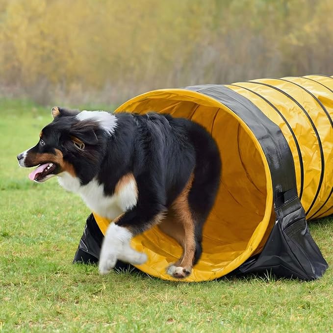 Briwooody 24 in 10 Foot PVC Dog Agility Tunnel - Image 7