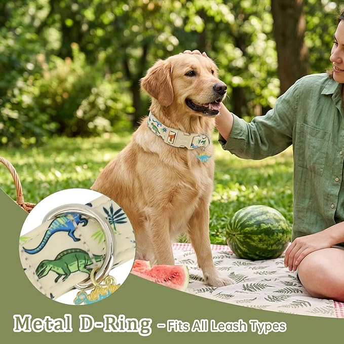Dinosaur Dog Collar, Cute Boy Dog Collars - Image 4