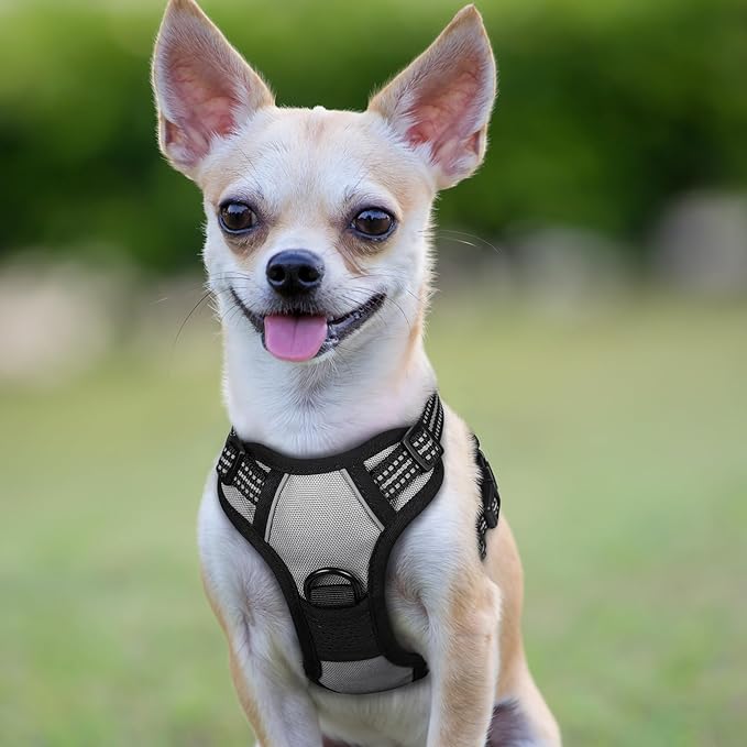 rabbitgoo Dog Harness No Pull - Image 8