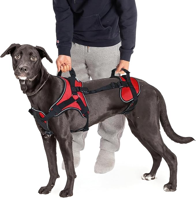 Doggie Stylz Multi-Functional Full-Body Lifting Dog Harness Vest, Designed by DoggieStylz