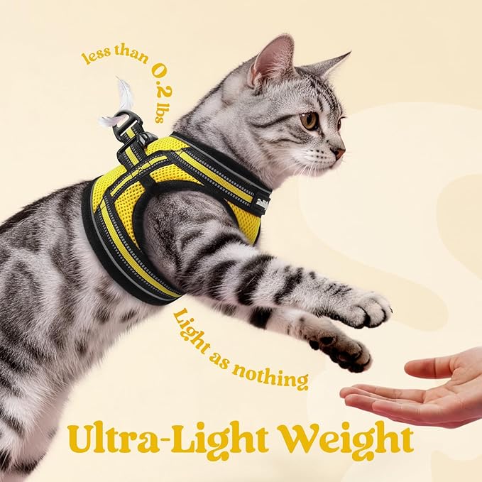 rabbitgoo Cat Harness and Leash, Step-in Escape Proof Kitten Harness Set - Image 7