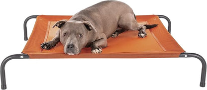 FurHaven Elevated Pet Cots by FurHaven