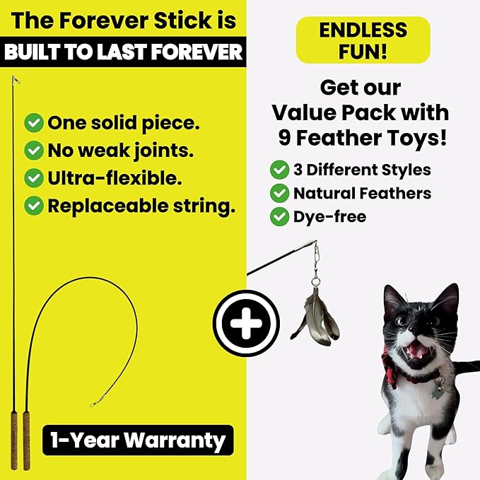 Forever Stick and 9 Cat Feather Toy Refills - Image 7