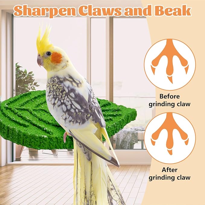 3 Pcs Parrot Perch Resin Bird Beak Grinding Stone Leaf Shape Perch Stand Foot - Image 5