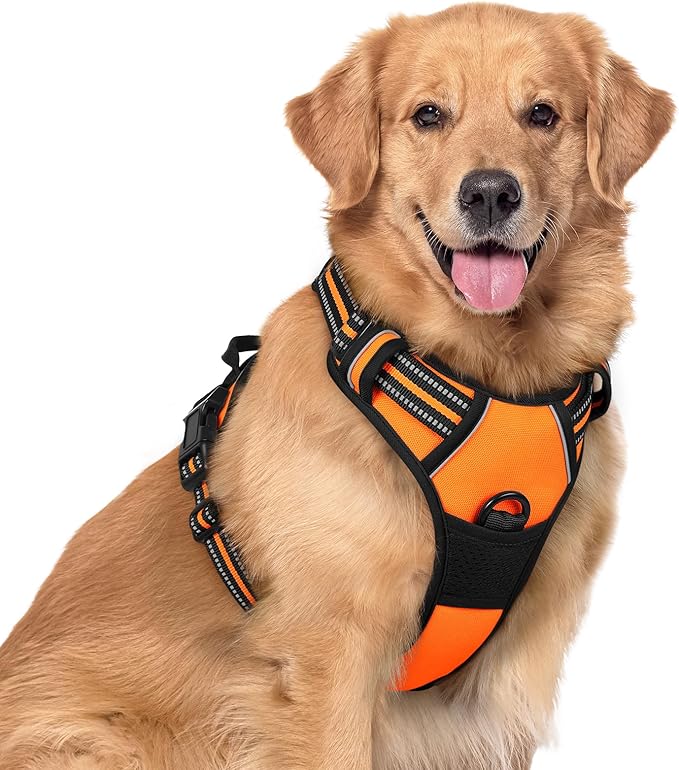 rabbitgoo Dog Harness No Pull by rabbitgoo