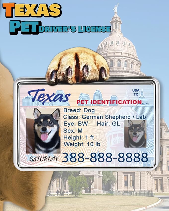 Custom Dog Driver License Tag for Pets - Image 3