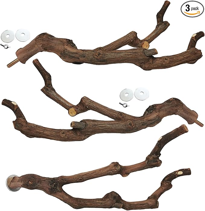 kathson Natural Parrot Perch Bird Stand Pole Wild Grape Stick Paw Grinding Fork by kathson