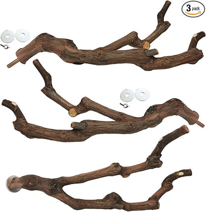 kathson Natural Parrot Perch Bird Stand Pole Wild Grape Stick Paw Grinding Fork by kathson