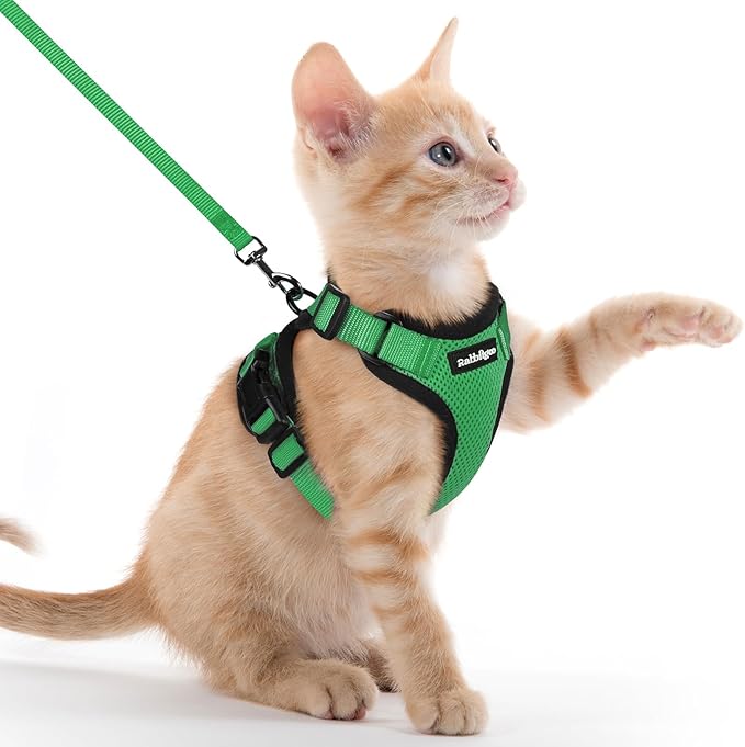 rabbitgoo Cat Harness and Leash Set, Escape Proof Kitten Harness by rabbitgoo