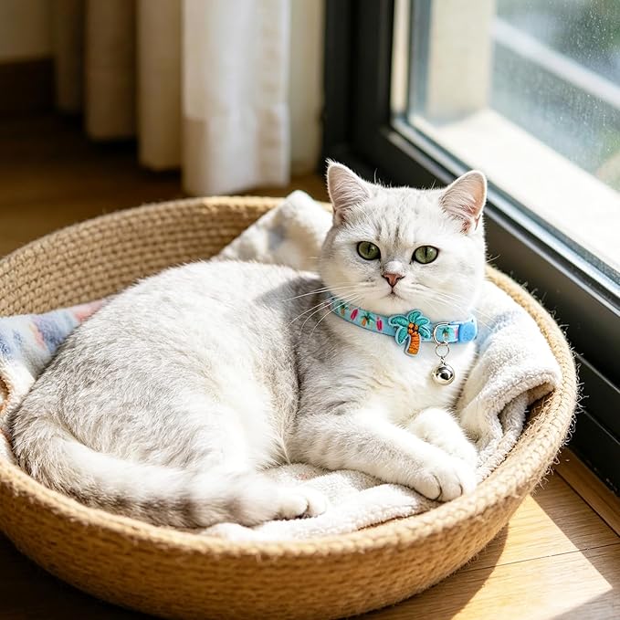 PUPTECK Cat Collar Breakaway - Image 6