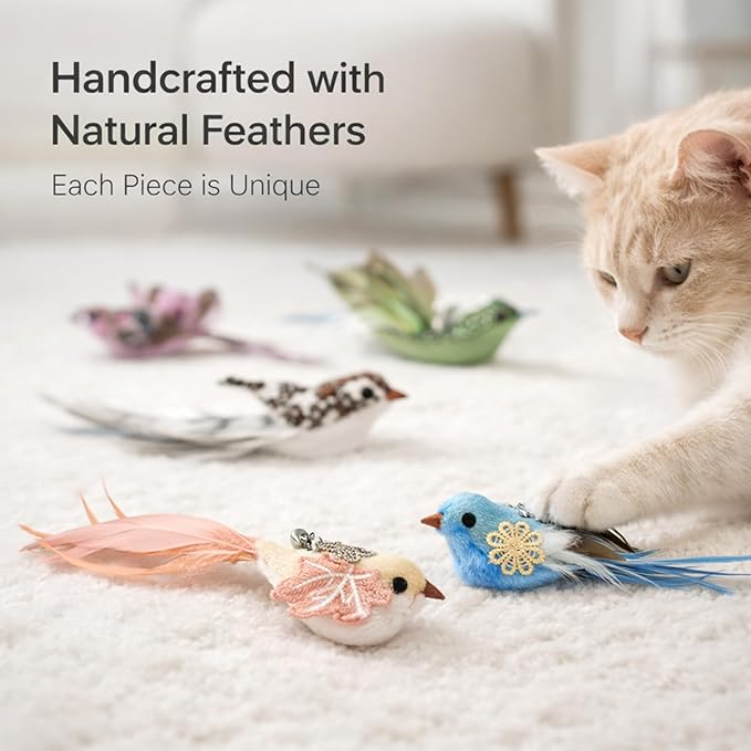 11PCS Realistic Bird Cat Toy Refills – Handmade Feather Cat Toys - Image 6