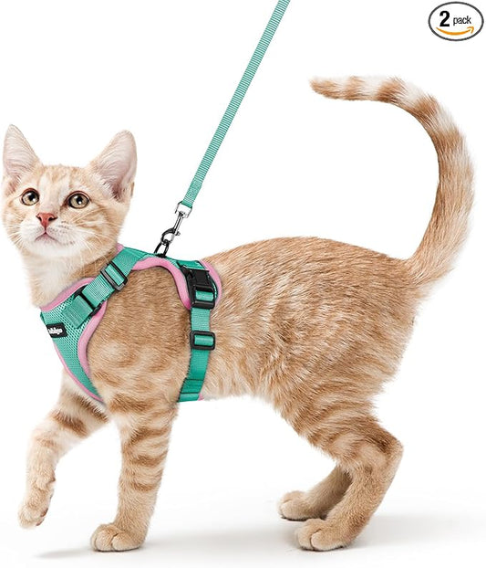rabbitgoo Cat Harness and Leash by rabbitgoo