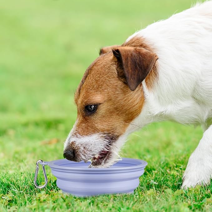 Kytely Collapsible Dog Bowls Medium, Portable Pet Water Food Bowl - Image 2