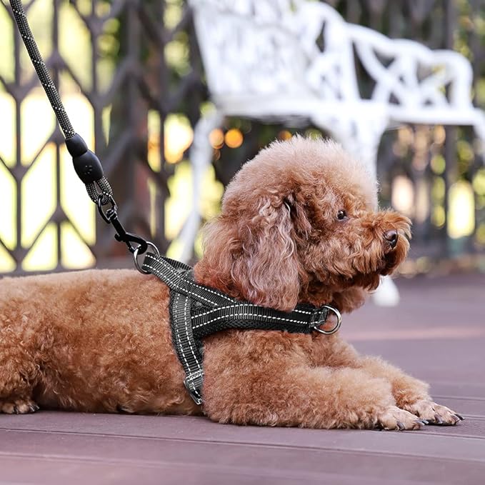 Plutus Pet No Pull Dog Harness - Image 5