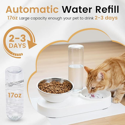 2 in 1 Elevated Dog Cat Bowls, 15°Tilted Pets Water and Food Bowl Set, Pet - Image 5