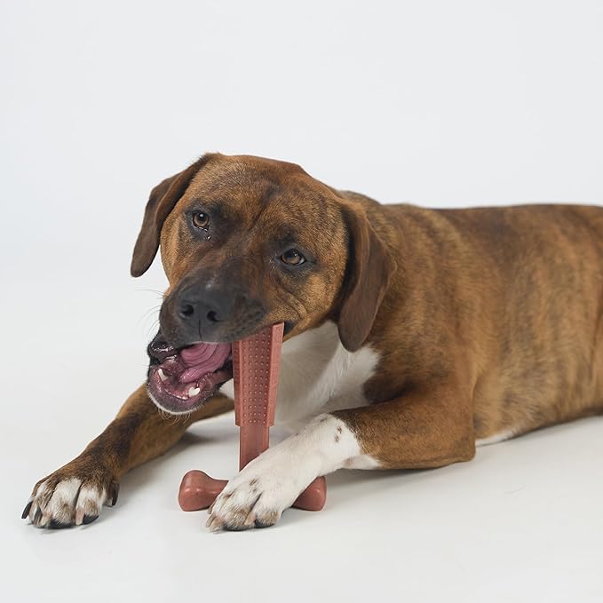 SPOT Bam-Bones Plus T Bone – Bamboo Fiber & Nylon Dog Chew Toy - Image 14