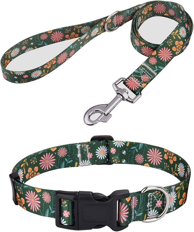 Mihqy Dog Collar and Leash Set by Mihqy