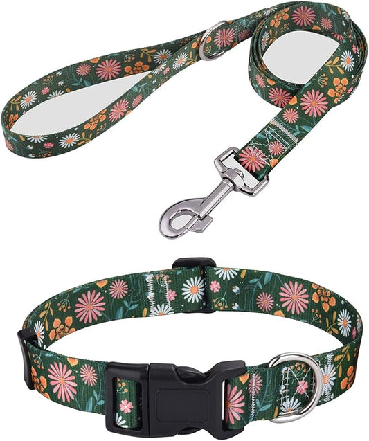 Mihqy Dog Collar and Leash Set by Mihqy